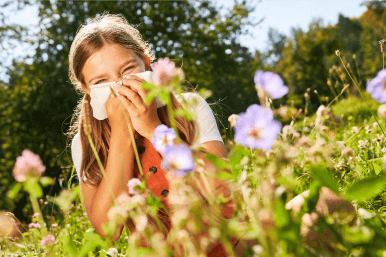 Les meilleures plantes pour soulager les allergies saisonnières